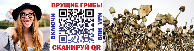 блэк спрут ТОР  Долинск  Галлюциногенные грибы Psilocybe  купить  сайты 